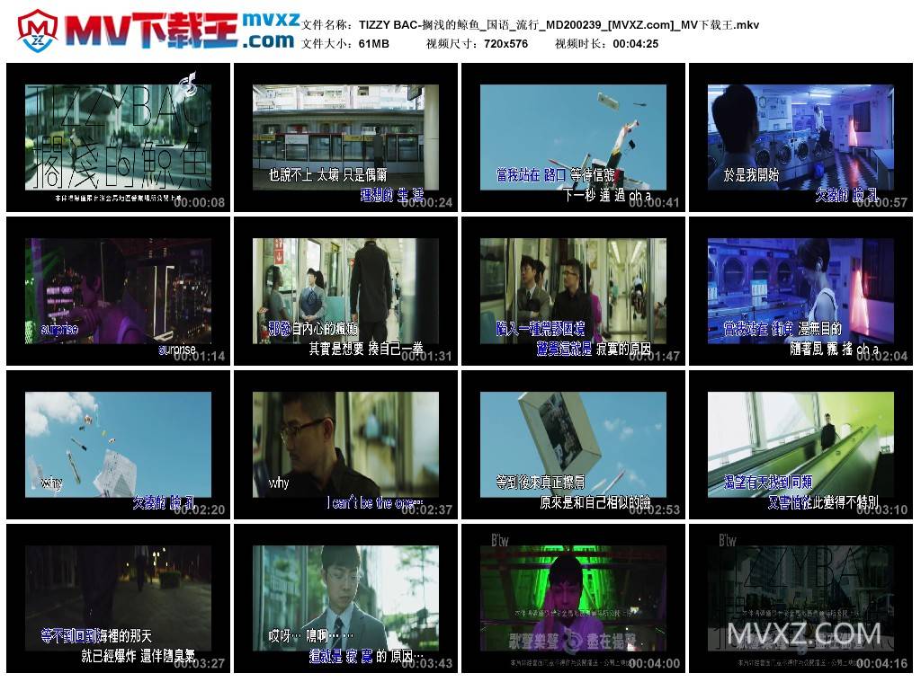 TIZZY BAC-搁浅的鲸鱼_国语_流行_MD200239